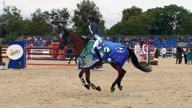 Krojenie i szycie stroju konia