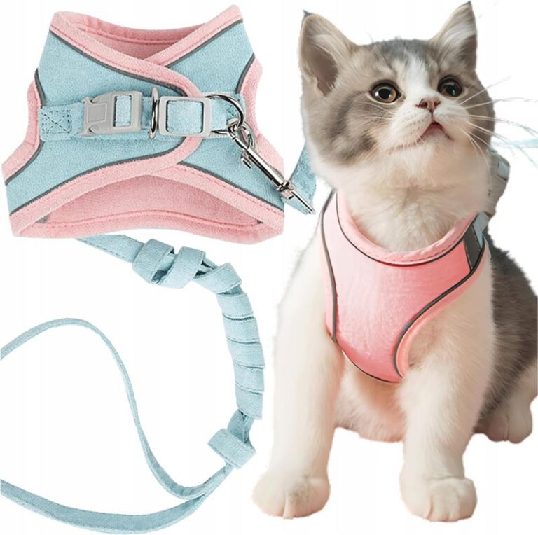 Szalony przewodnik po tym, jak uszyć szelki dla kota krok po kroku