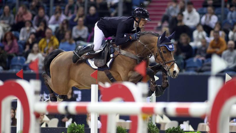 Tworzymy wymarzony strój konia – krok po kroku do perfekcji