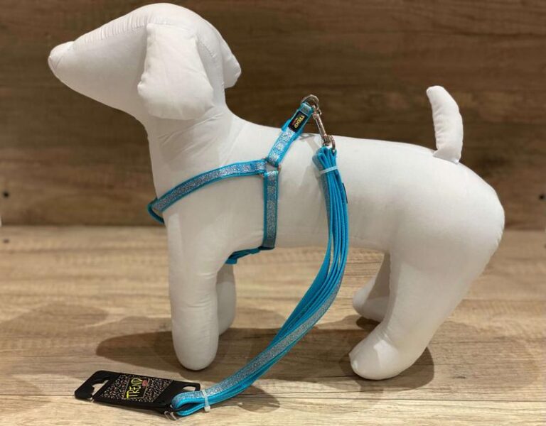 Idealny rozmiar szelek dla maltańczyka – jak dokonać najlepszego wyboru?