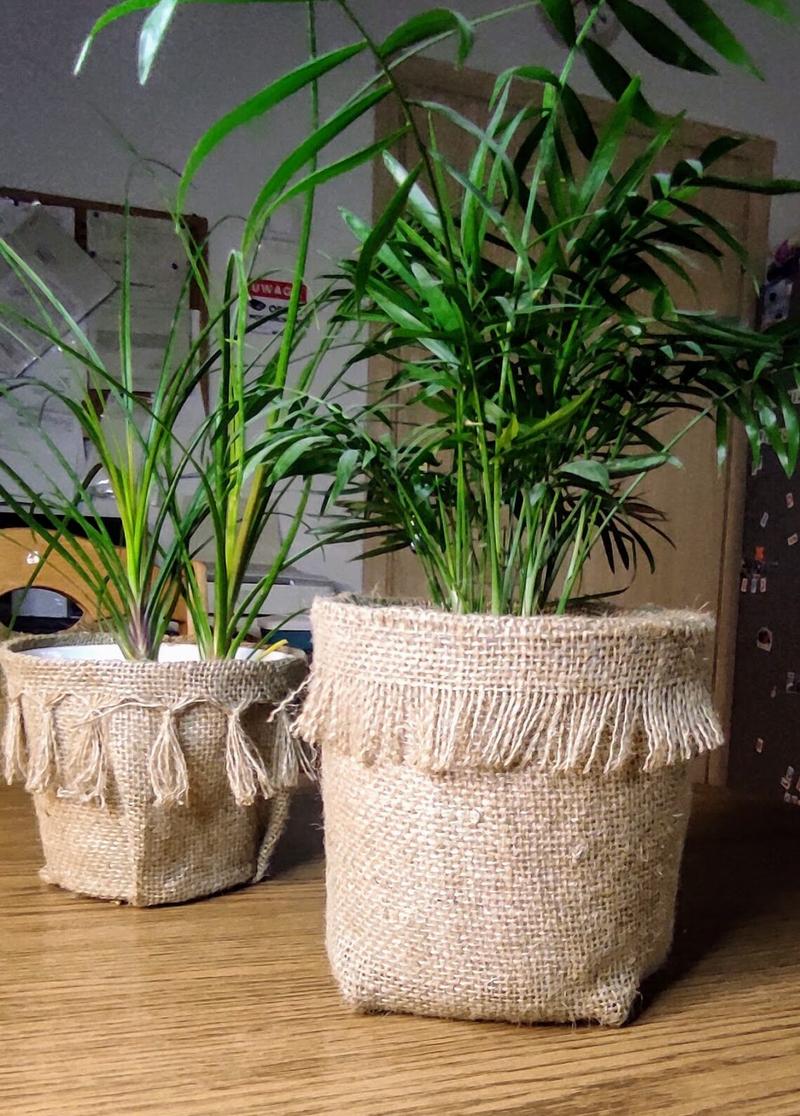 Kreatywne wzory i kolory