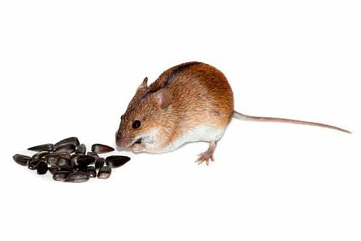 Stylizacja i akcesoria do stroju