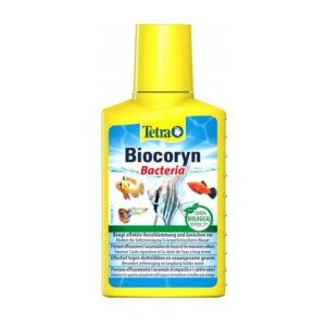 Czego unikać w kosmetykach do twarzy? Oto składniki, które mogą zaszkodzić twojej cerze.